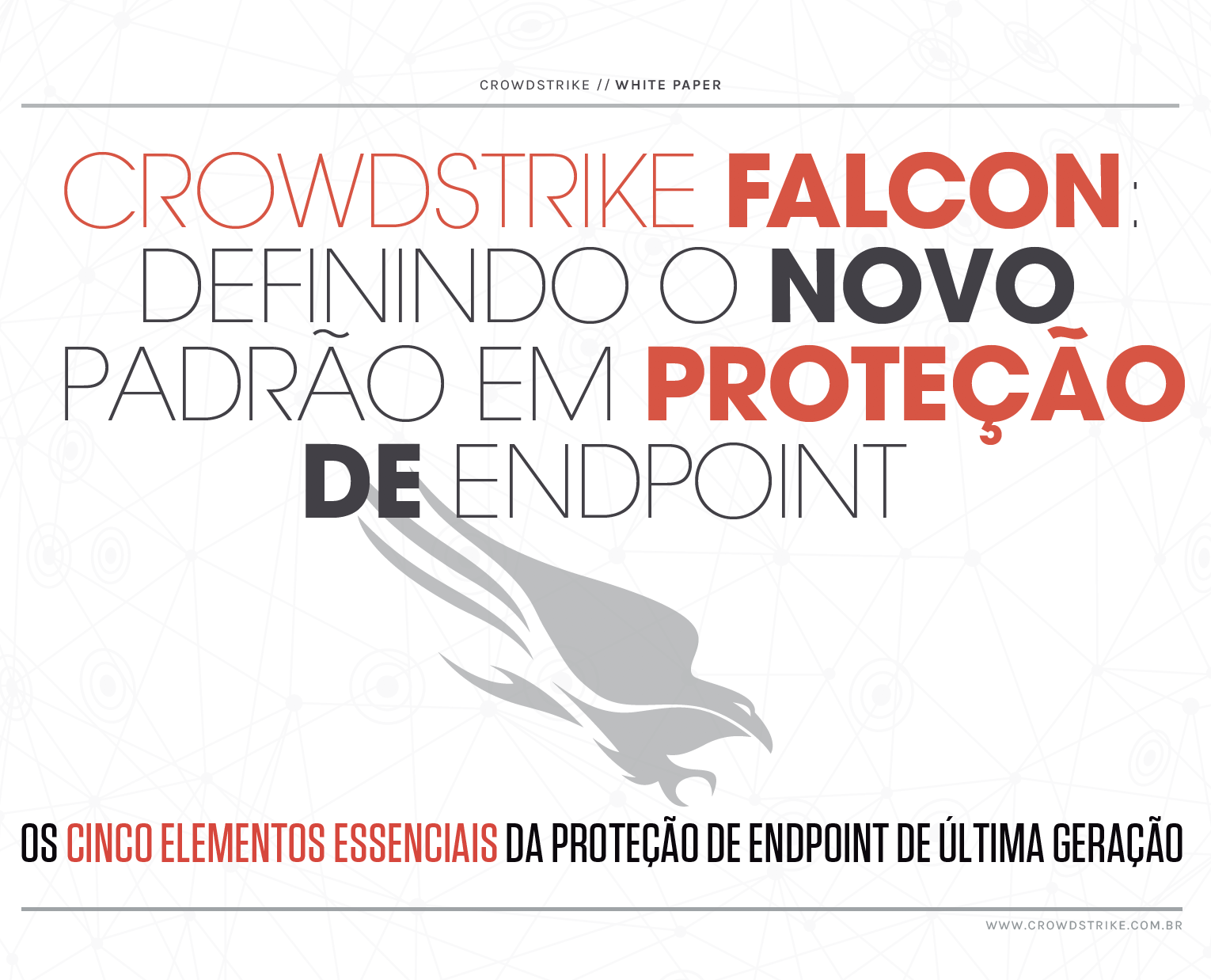 Setting the Standard for EPP Brazil Cover Image
