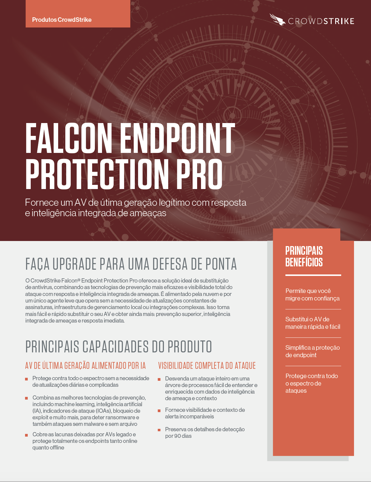 cover of portuguese falcon pro data sheet